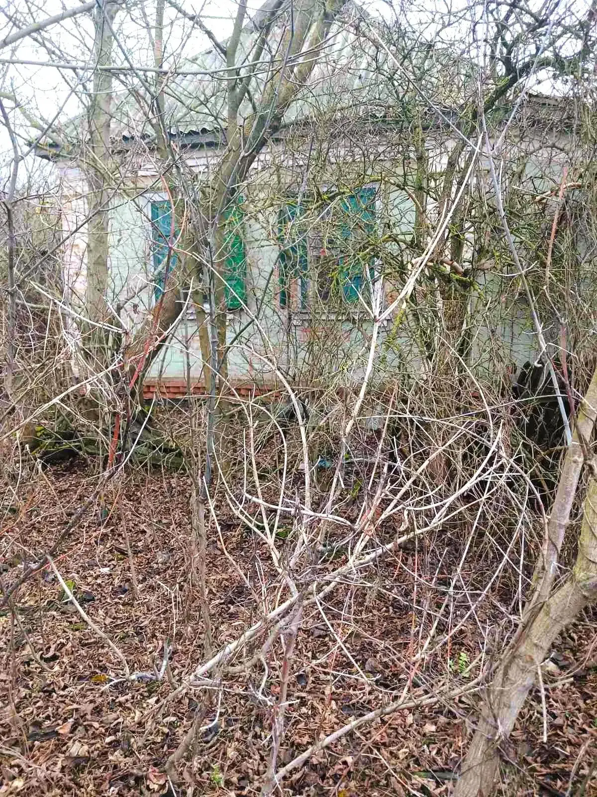 Вільховий Ріг. Чотири ділянки з будинком.  | Приват житло