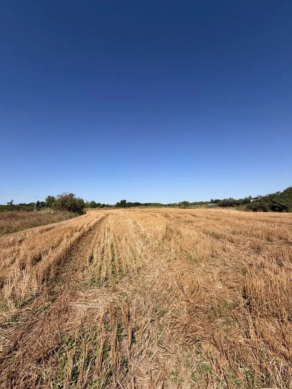 Продаж ділянки 25 соток у с. Тахтаулове (біля Маркетопту)
 | Приват житло