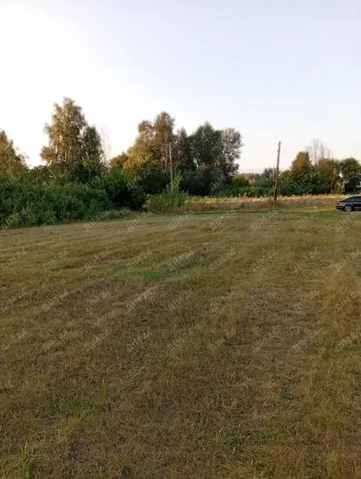 Дві ділянки в Терновщині | Приват житло