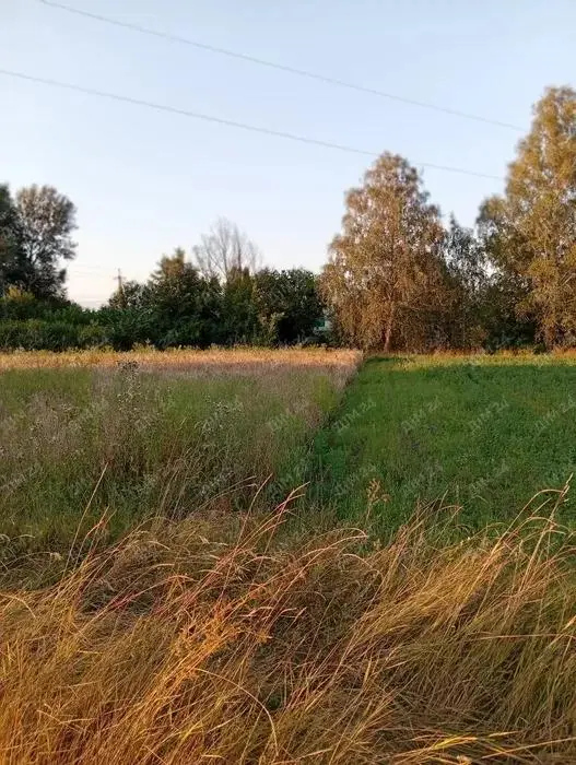 Дві ділянки в Терновщині | Приват житло