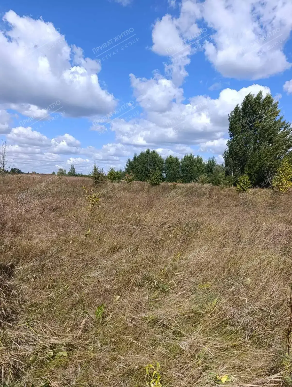 ПРОДАЖ ДІЛЯНКИ 15 СОТОК У НОВОСЕЛІВЦІ - МІСЦЕ, ДЕ ХОЧЕТЬСЯ ЖИТИ ТА ВІДПОЧИВАТИ! | Приват житло