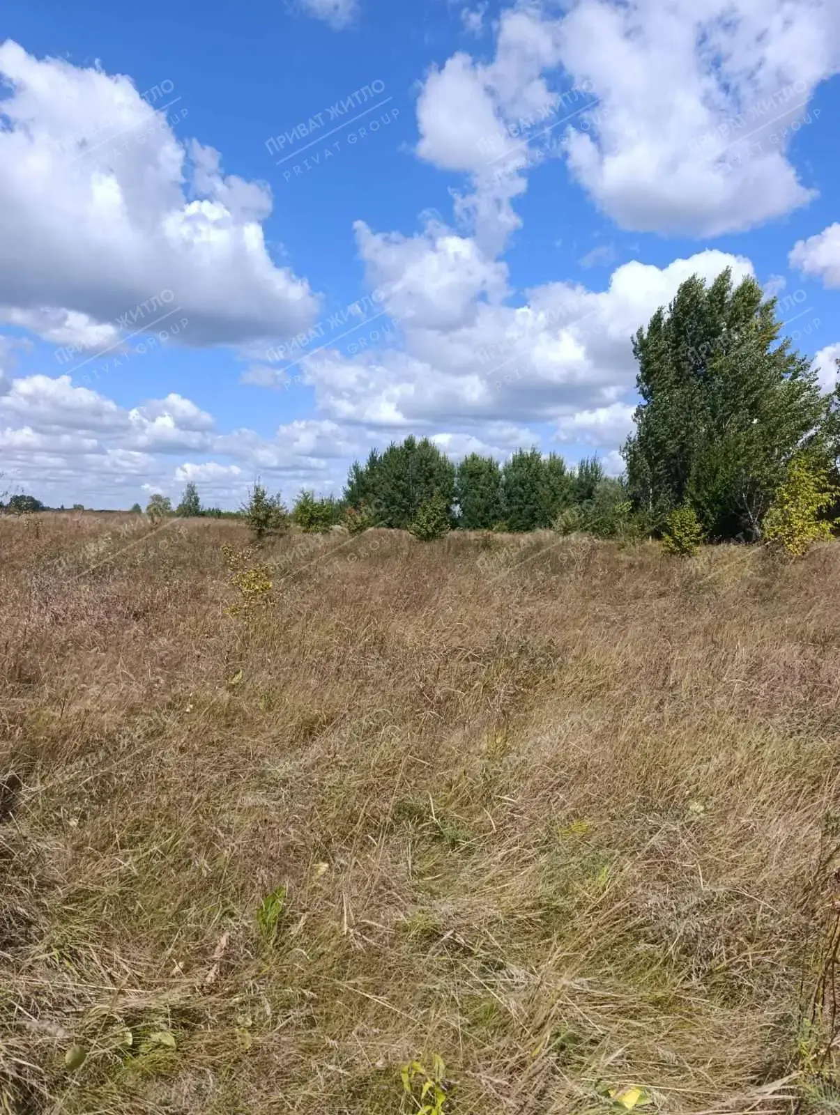 ПРОДАЖ ДІЛЯНКИ 15 СОТОК У НОВОСЕЛІВЦІ - МІСЦЕ, ДЕ ХОЧЕТЬСЯ ЖИТИ ТА ВІДПОЧИВАТИ! | Приват житло
