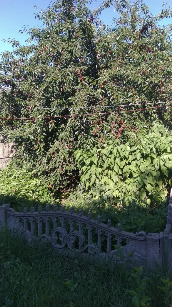 Чарівна двокімнатна квартира в Нових Санжарах! | Приват житло
