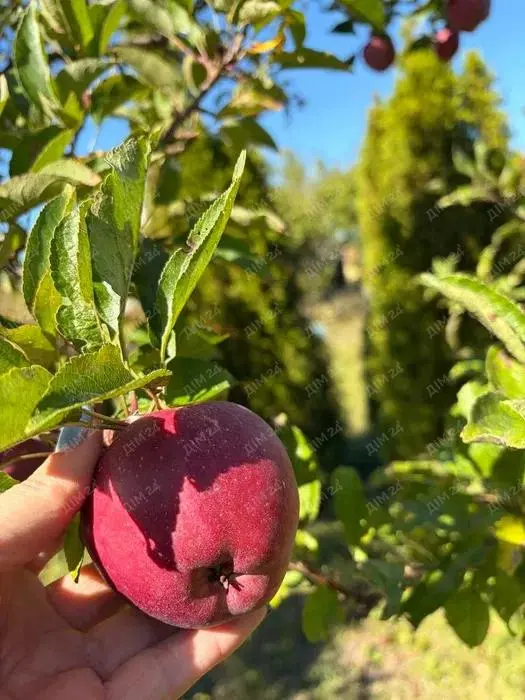 Чудова родинна дача в Петрівці | Приват житло