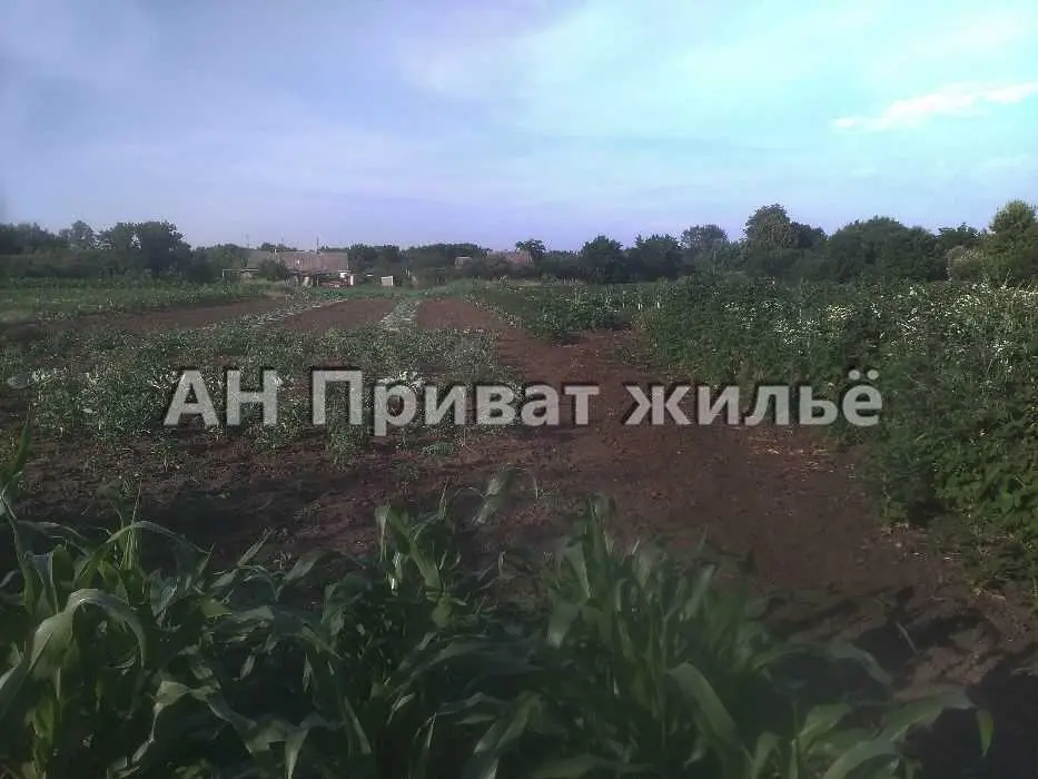 Бюджетні дві земельні ділянки  в с.Андріївка.  | Приват житло