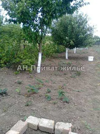 Продам участой в Мачехах, Полтавский район. | Приват житло