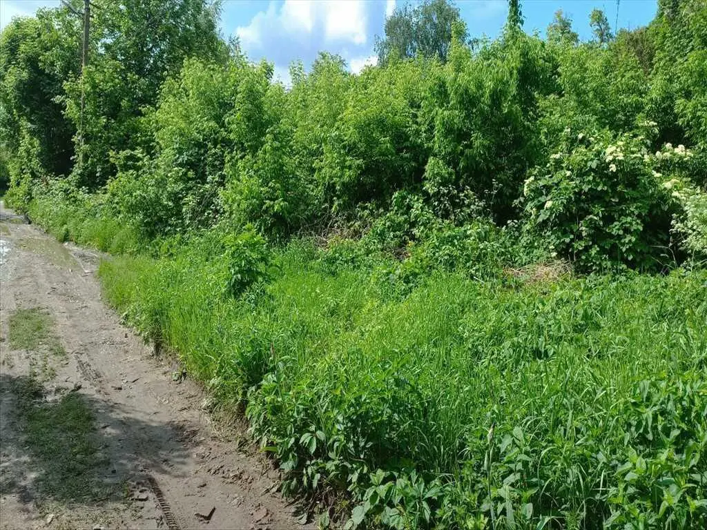 Продажа участка в центре Полтавы.  | Приват житло