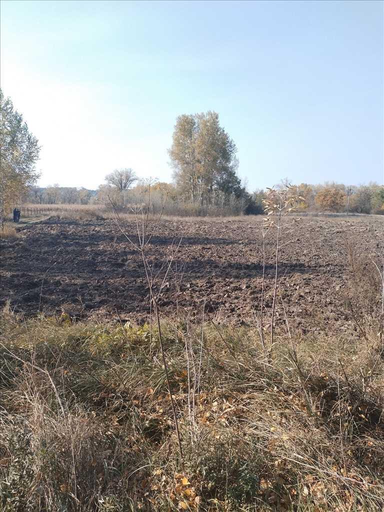 Продається земельна ділянка між Гавронцями та Тернівщиною. | Приват житло