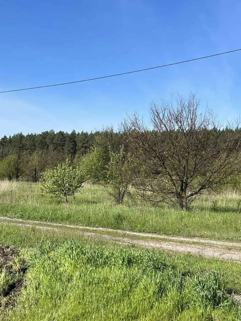  Продається земельна ділянка 25 соток, с. Ваці | Приват житло