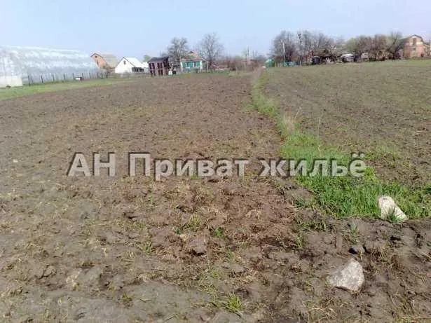 Брунівка. Приватизована земельна ділянка | Приват житло