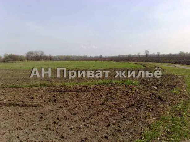 Брунівка. Приватизована земельна ділянка | Приват житло